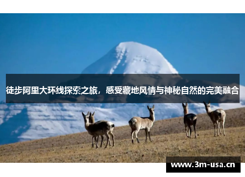 徒步阿里大环线探索之旅，感受藏地风情与神秘自然的完美融合