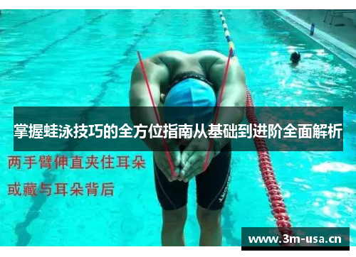 掌握蛙泳技巧的全方位指南从基础到进阶全面解析