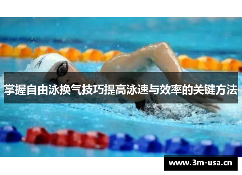 掌握自由泳换气技巧提高泳速与效率的关键方法